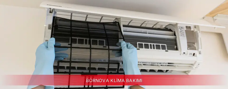 Bornova İlçemi Fujitsu Klima Bakımı