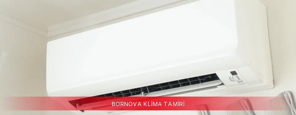 Bornova İlçemi Fujitsu Klima Tamiri